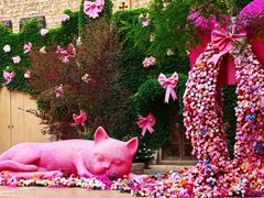 -青岛方特梦幻王国