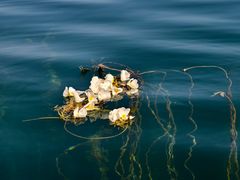 -丽江泸沽湖景区