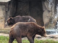 -海南热带野生动植物园