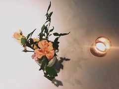 -蝶舍·MAISON PAPILLON