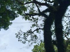 -广州市白云山风景名胜区