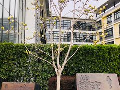 -北京第二实验小学