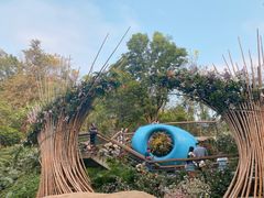 -深圳仙湖植物园