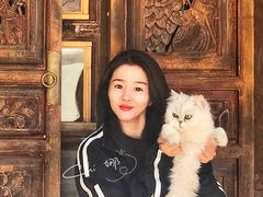 -喵屿·大理花园猫咖