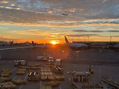 -纽瓦克自由国际机场