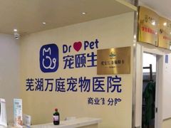 -宠颐生宠物医院·犬猫全科·皮肤科(商业街店)