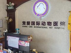 -宠爱国际动物医院·疑难骨科·心肾内科·皮肤科(太阳宫店)