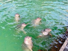 -华夏文旅海洋公园