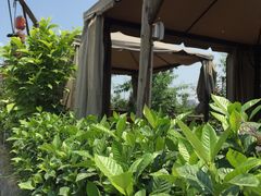 -茅草房·河畔园林火锅