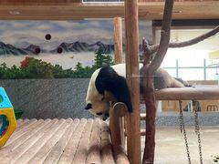 -西安秦岭野生动物园