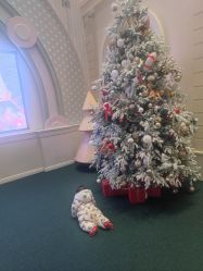 -奈尔宝·儿童乐园·亲子餐厅(华采天地店)