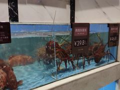 水产区-徐记海鲜(开福寺|伍家岭店)