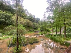 -云溪植物园