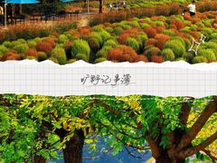 -嘉北郊野公园