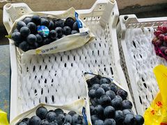 -马陆小张葡萄园农家乐