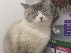 -瑞派雷欧宠物医院·中兽医·眼科·急重症转诊中心(黄台店)