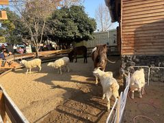 -HERRE·FARM 赫尔露营农场·团建聚会包场