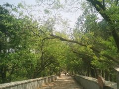 -阳台山自然风景区