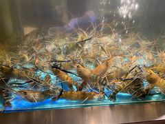 -海天盛宴海鲜自助(正大广场店)