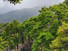 -梧桐山风景名胜区