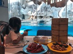 -帝企鹅自助餐厅•儿童岛•真企鹅(长隆企鹅酒店)