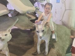 -华夏文旅海洋公园