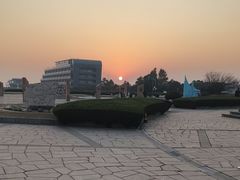 -南汇嘴观海公园