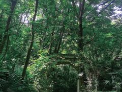 -青龙山国家森林公园
