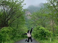-大连天门山国家森林公园
