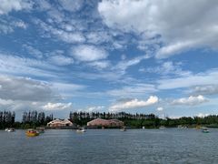 -上海长兴岛郊野公园