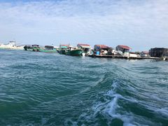 -蓝湾碧波·老字号·疍家非遗海上餐厅