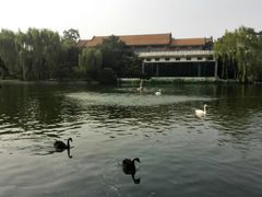 -钓鱼台国宾馆