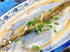 清蒸白水鱼-品渔味湖鲜馆(拈花湾店)