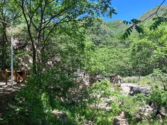 -大岭沟猕猴桃谷风景区