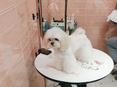 -FAELING PETS美天灵宠物(合生汇店)