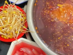 -水碾河肥兔火锅(水碾河店)
