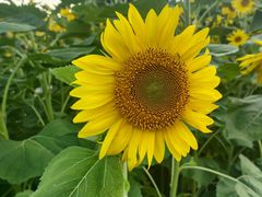 -长春公园(普阳街道)