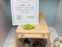 -纳吉亚猫专科动物医院·北北分院