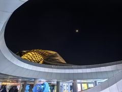 -哈尔滨大剧院