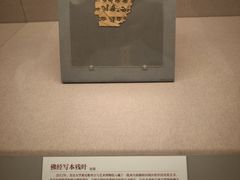 -北京大学赛克勒考古与艺术博物馆