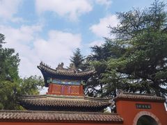 -洛阳白马寺