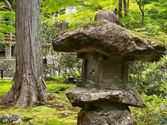 -三千院