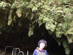 -怀托摩萤火虫洞