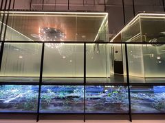 -CHIC1699远洋私厨