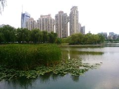 android_upload_pic-西北湖绿化广场