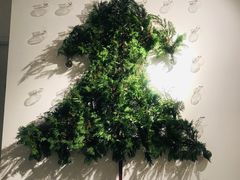 -张一元茶庄(望京店)