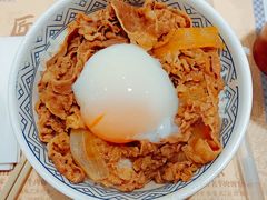 -吉野家(红博中央公园店)