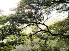 -维乐口腔医院(福清院)
