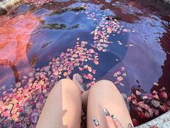 -咸宁万豪温泉谷度假区