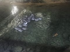 -虾王农家乐(鼎湖店)